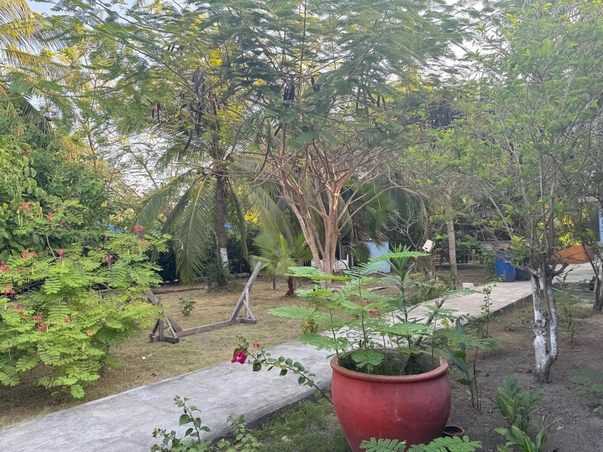 Casa Lolas House By Ctglifetravelers Исла Гранде Екстериор снимка